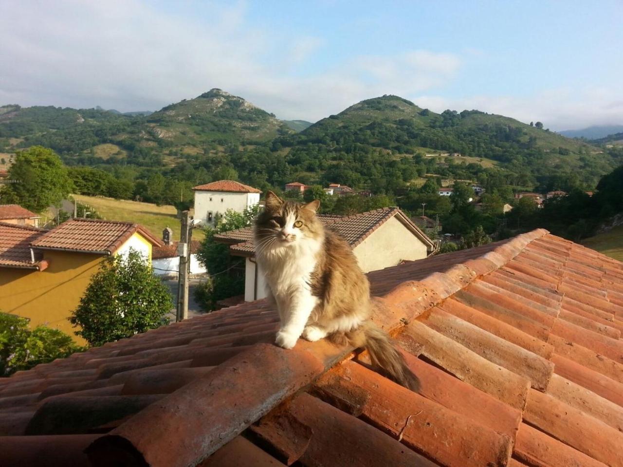 Posada El Pareon Sirviella Luaran gambar